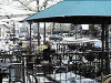 CAFE.gif (62987 bytes)